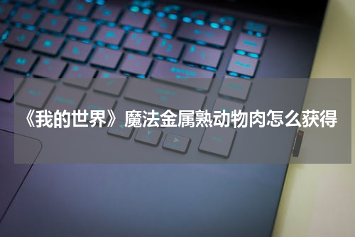 《我的世界》魔法金属熟动物肉怎么获得