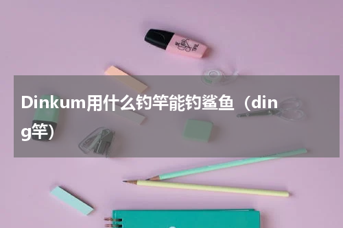 Dinkum用什么钓竿能钓鲨鱼（ding竿）