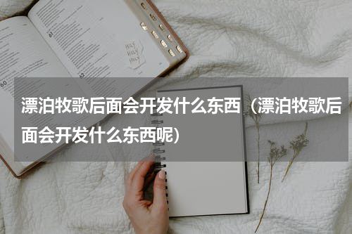 漂泊牧歌后面会开发什么东西（漂泊牧歌后面会开发什么东西呢）