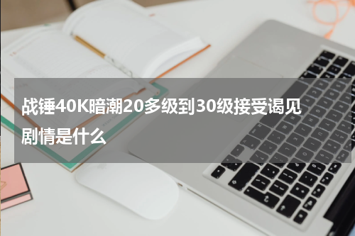 战锤40K暗潮20多级到30级接受谒见剧情是什么