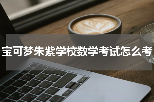 宝可梦朱紫学校数学考试怎么考