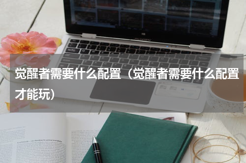 觉醒者需要什么配置（觉醒者需要什么配置才能玩）